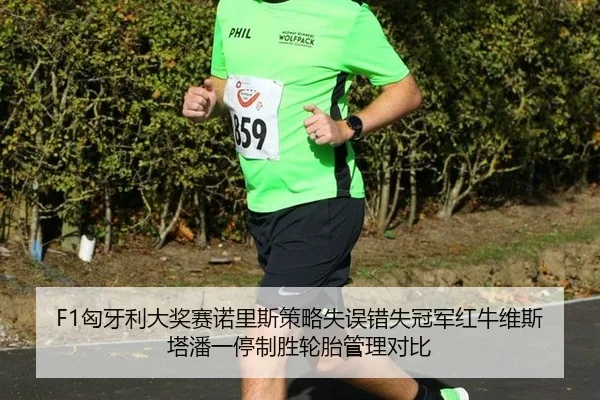 F1匈牙利大奖赛诺里斯策略失误错失冠军红牛维斯塔潘一停制胜轮胎管理对比