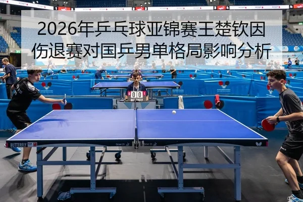nian-ping-pang-qiu-ya-jin-sai-wang-chu-qin-yin-shang-tui-sai-dui-guo-ping-nan-dan-ge-ju-ying-xiang-fen-xi-3-702.jpg