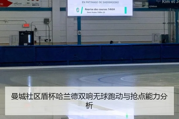 man-cheng-she-qu-dun-bei-ha-lan-de-shuang-xiang-wu-qiu-pao-dong-yu-qiang-dian-neng-li-fen-xi-3-457.jpg