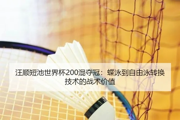 wang-shun-duan-chi-shi-jie-bei-hun-duo-guan-die-yong-dao-zi-you-yong-zhuan-huan-ji-shu-de-zhan-shu-jia-zhi-2-305.jpg